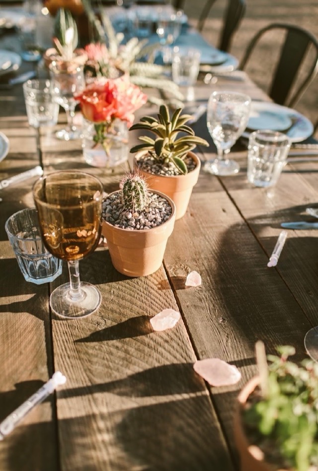 Desert Reverie tablescape — rustic farm table with terracotta cactus pots, amber glassware, and rose quartz crystals in warm afternoon light — Lux Events by Michelle