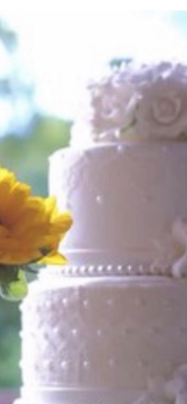 Destination wedding portrait — bride in flowing gown at a scenic outdoor location, image 9 of 10 — Lux Events by Michelle